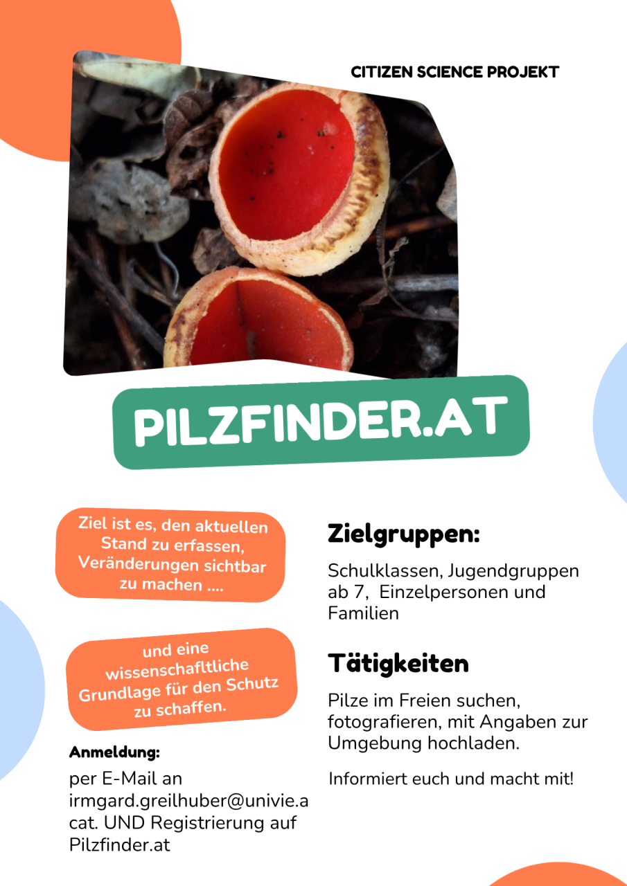 Pilzfinder
