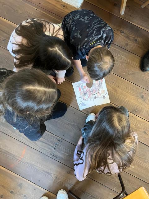 Rechte Workshop